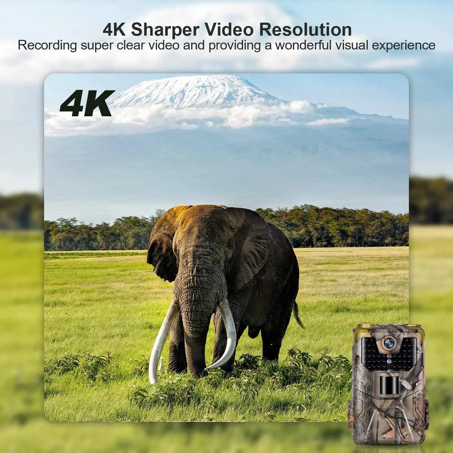 4K Video Live Show Hunting Trail Camera 30MP WIFI APP Bluetooth Control  Night Vision Wildlife Photo Traps Cameras WIFI900PRO